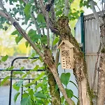 Les Glycines - Maison Familiale Avec Jardin, Entre Nature Et Confort *