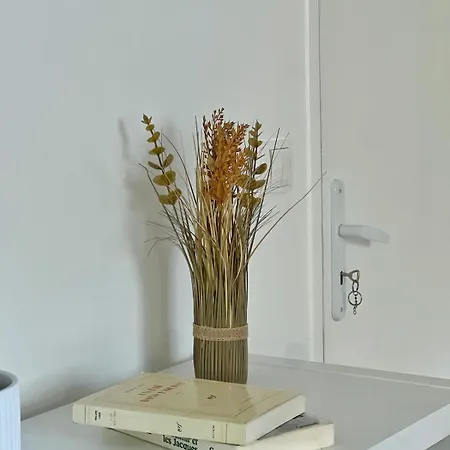 Les Glycines - Maison Familiale Avec Jardin, Entre Nature Et Confort Semesterbostad Jou-sous-Monjou