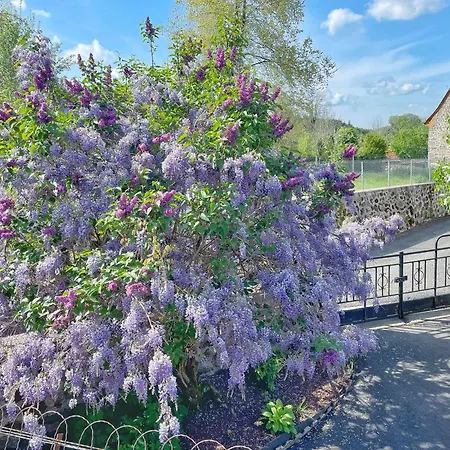 Les Glycines - Maison Familiale Avec Jardin, Entre Nature Et Confort * Jou-sous-Monjou