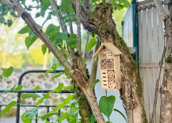 Les Glycines - Maison Familiale Avec Jardin, Entre Nature Et Confort *